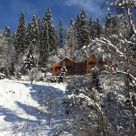Privatna Sadiba Chalet 奥尔亚维奇克 外观 照片