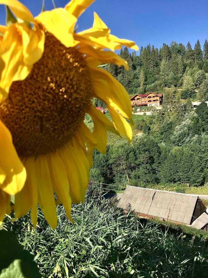 Privatna Sadiba Chalet 奥尔亚维奇克 外观 照片