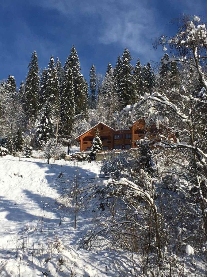 Privatna Sadiba Chalet 奥尔亚维奇克 外观 照片