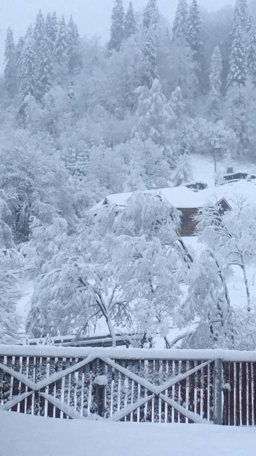 Privatna Sadiba Chalet 奥尔亚维奇克 外观 照片